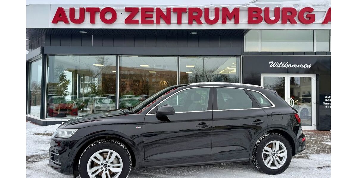 Audi Q5 119.812 km 31.500 &euro; Burg 39288
