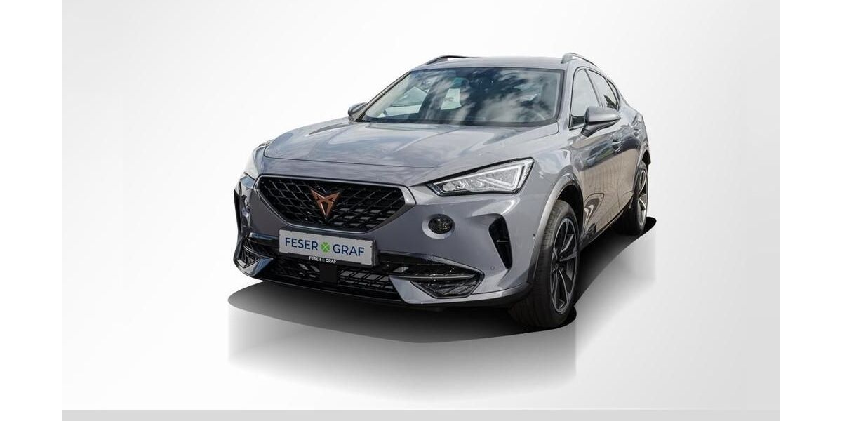 Cupra Formentor 13.800 km 27.690 &euro; Magdeburg 39118