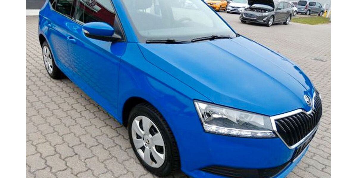 Skoda Fabia 116.831 km 8.190 &euro; Magdeburg 39120