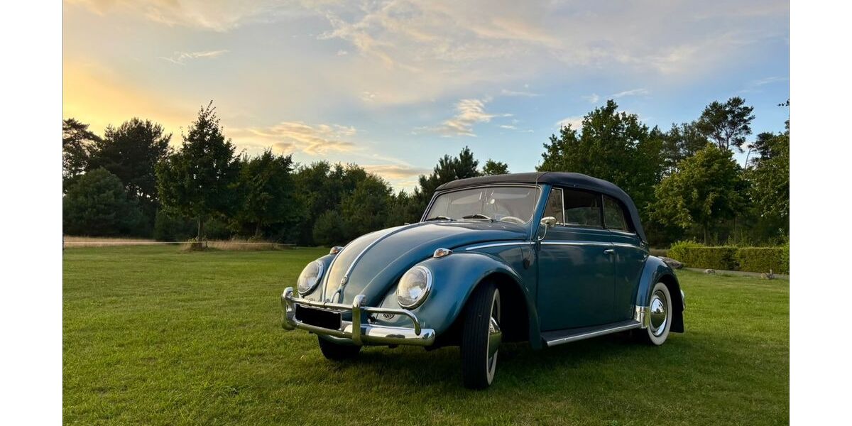 VW Käfer 164.000 km 25.000 &euro; Magdeburg 39110