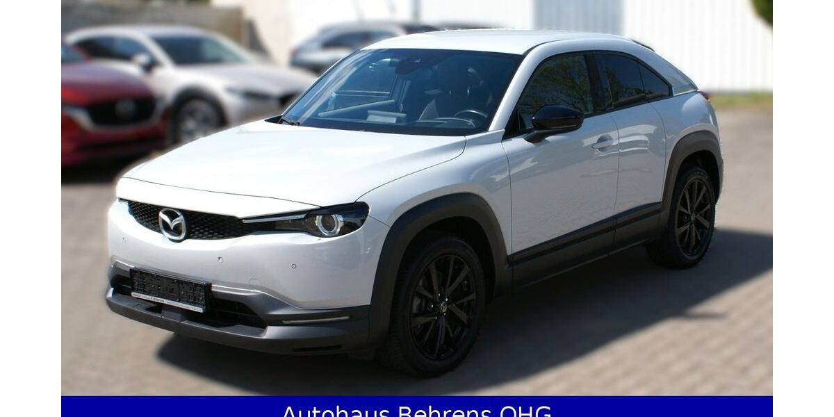 Mazda MX-30 93.995 km 12.490 &euro; Magdeburg 39116