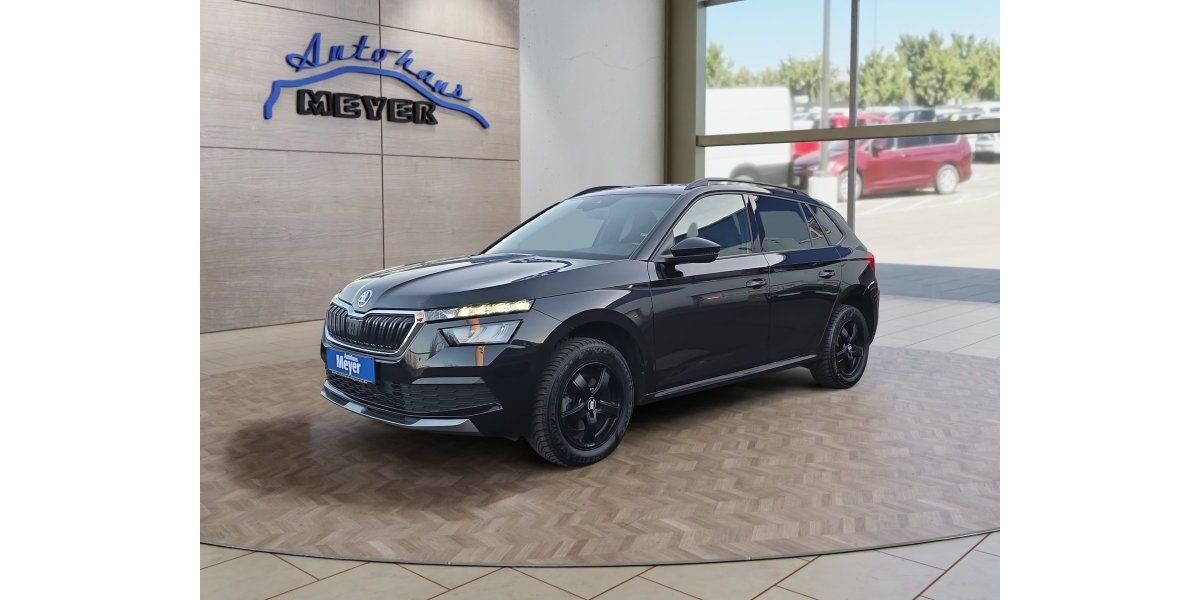 Skoda Kamiq 107.000 km 17.910 &euro; Hohenwarsleben bei Magdeburg 39326