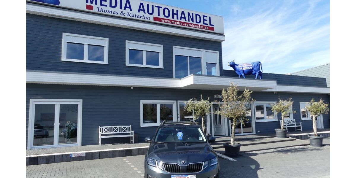 Skoda Octavia 123.000 km 16.600 &euro; Magdeburg 39108