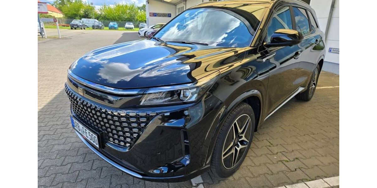 DFSK Fengon E5 1.082 km 29.500 &euro; Burg 39288