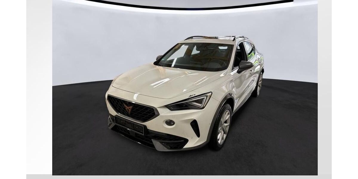 Cupra Formentor 22.584 km 25.940 &euro; Magdeburg 39126