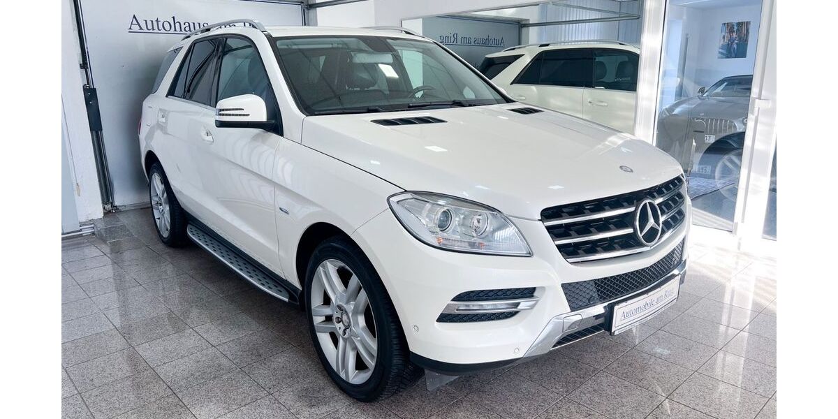 Mercedes-Benz ML 250 132.520 km 21.480 &euro; Magdeburg 39120
