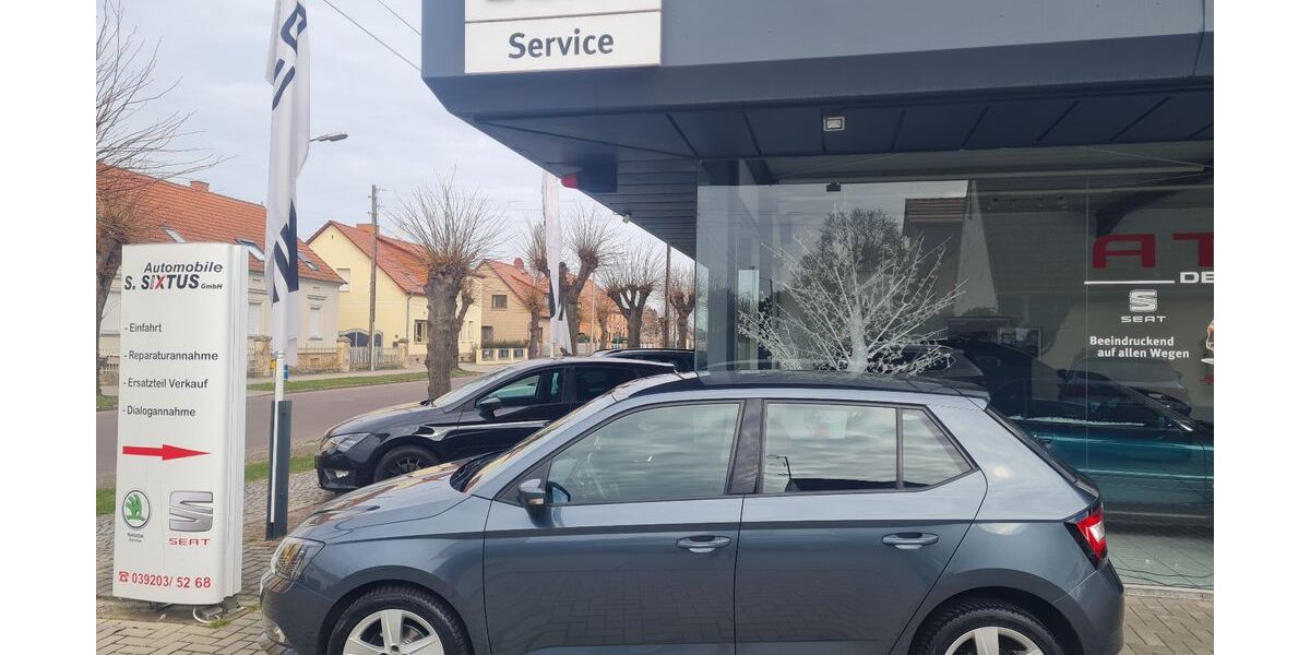 Skoda Fabia 101.150 km 8.590 &euro; Barleben 39179