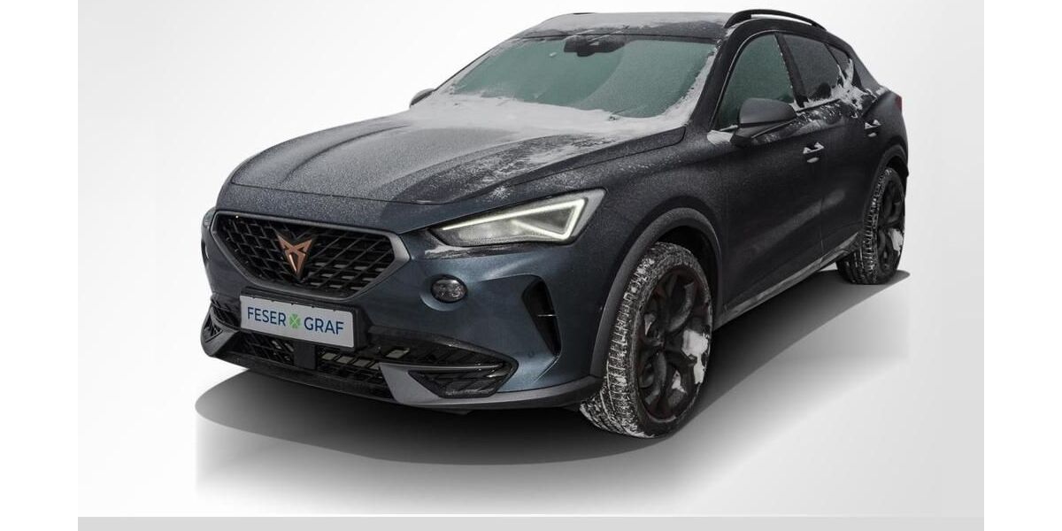 Cupra Formentor 17.000 km 37.980 &euro; Magdeburg 39118