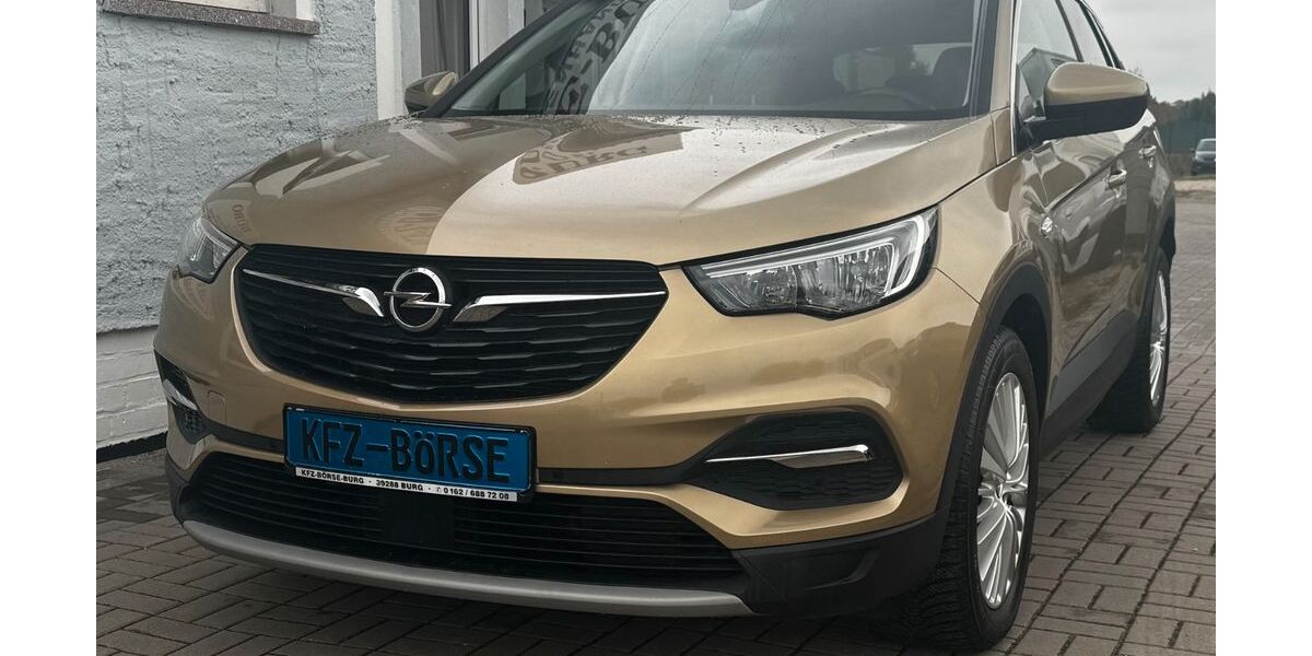 Opel Grandland (X) 86.000 km 15.300 &euro; Burg 39288