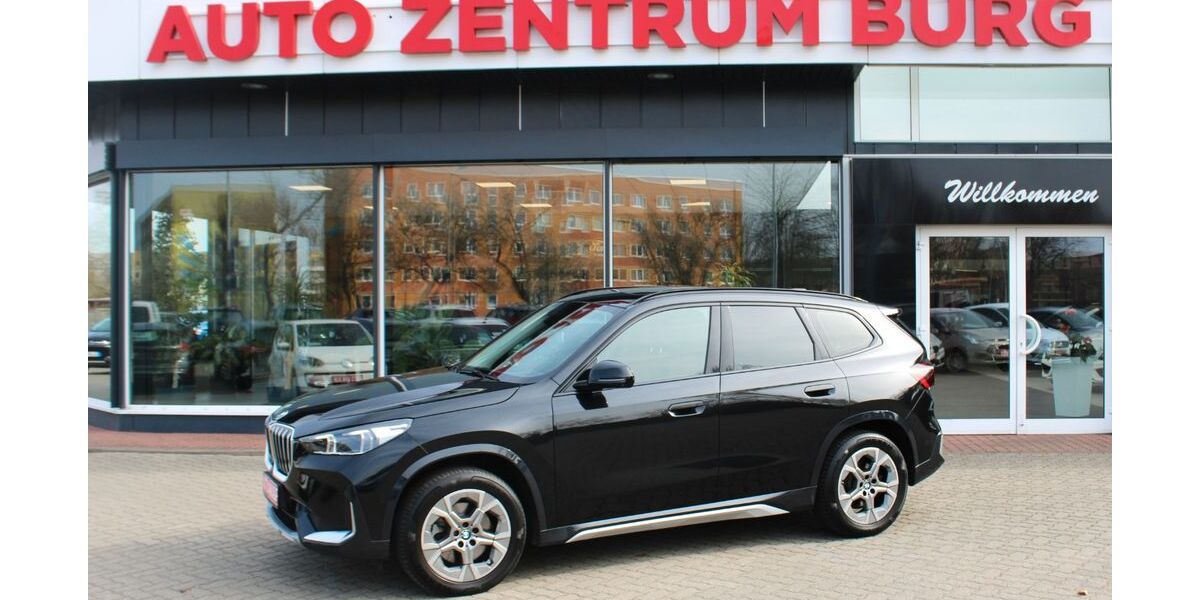 BMW X1 51.866 km 43.750 &euro; Burg 39288