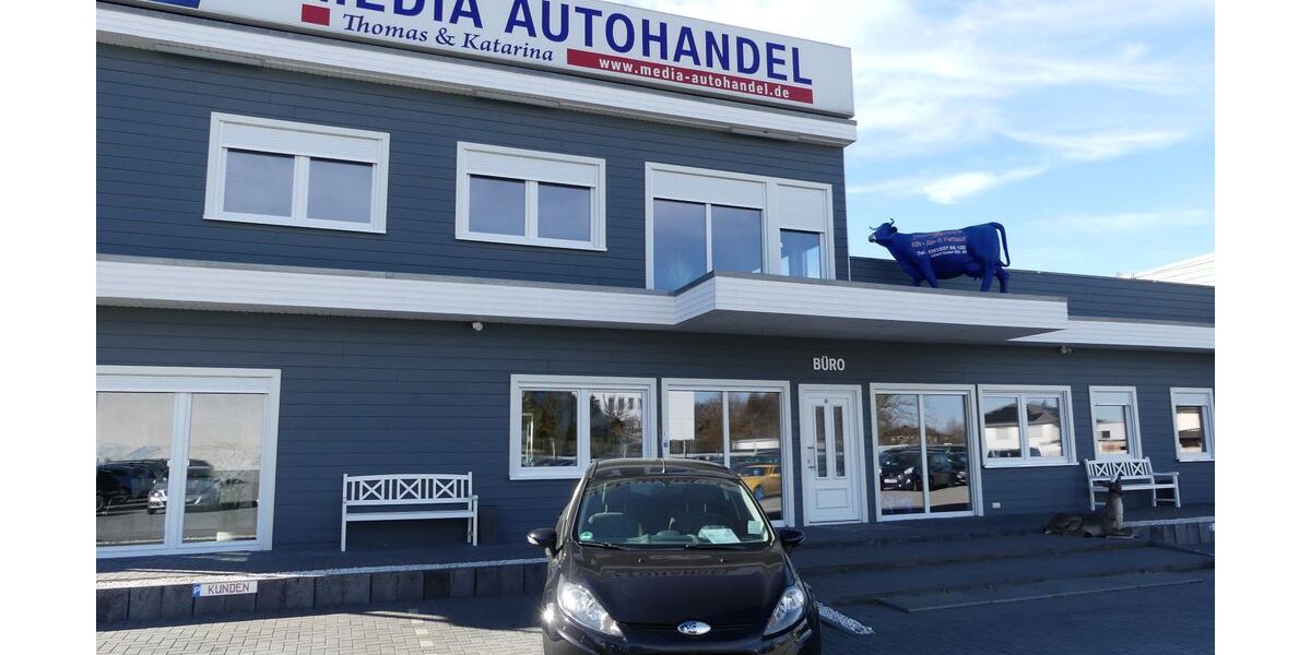 Ford Fiesta 139.000 km 4.900 &euro; Magdeburg 39108