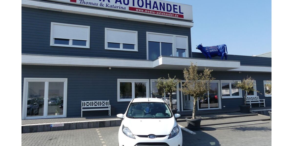 Ford Fiesta 134.000 km 5.000 &euro; Magdeburg 39108