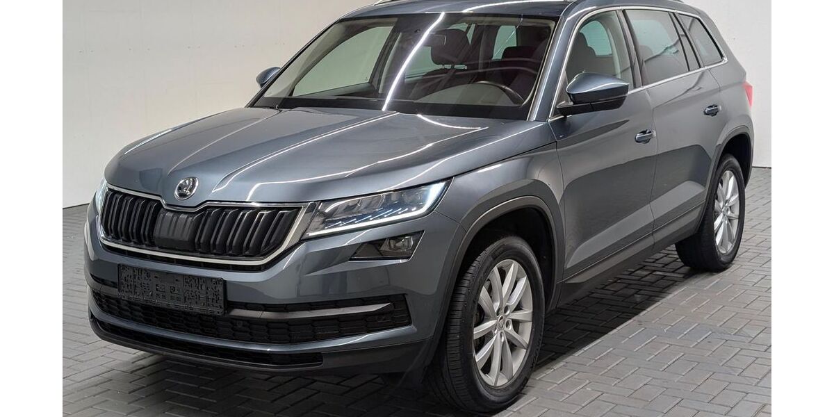 Skoda Kodiaq 135.900 km 21.480 &euro; Langenweddingen 39171