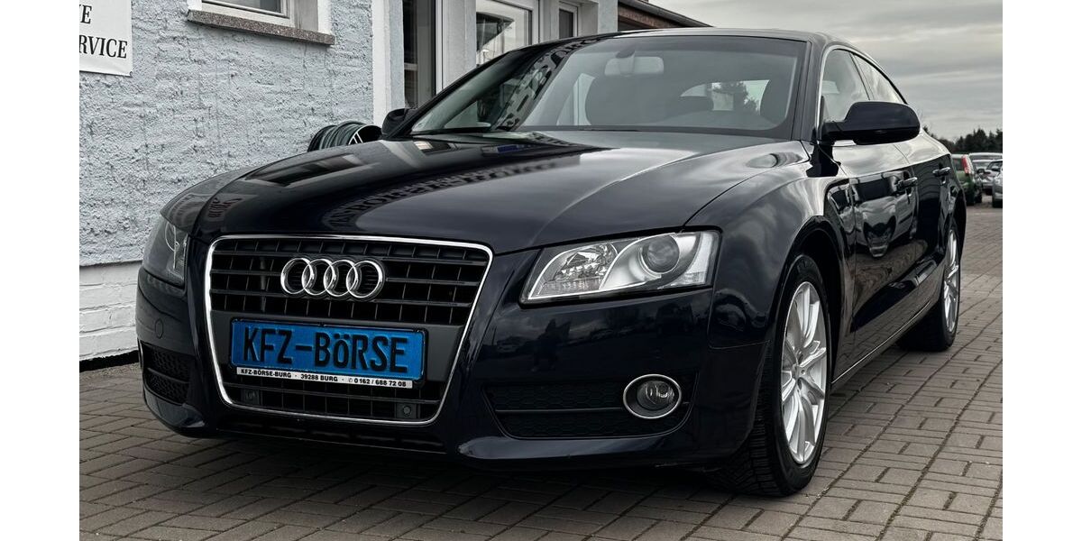 Audi A5 173.500 km 12.300 &euro; Burg 39288